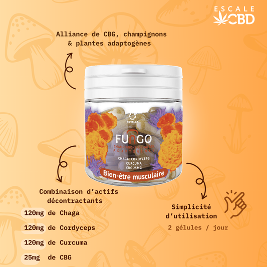 Gelules Bien-Être Musculaire - Fungo