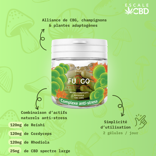 Gelules Complexe Anti-Stress - Fungo