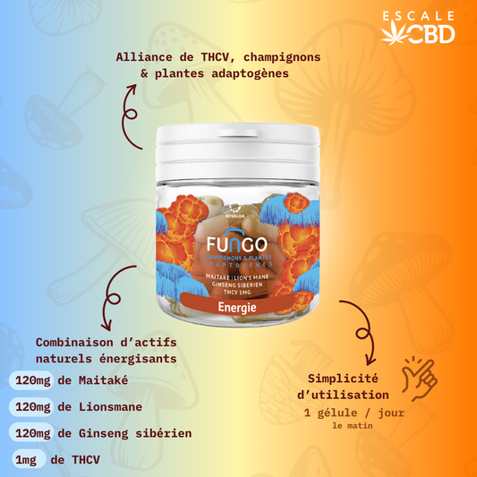 Gelules Energie - Fungo