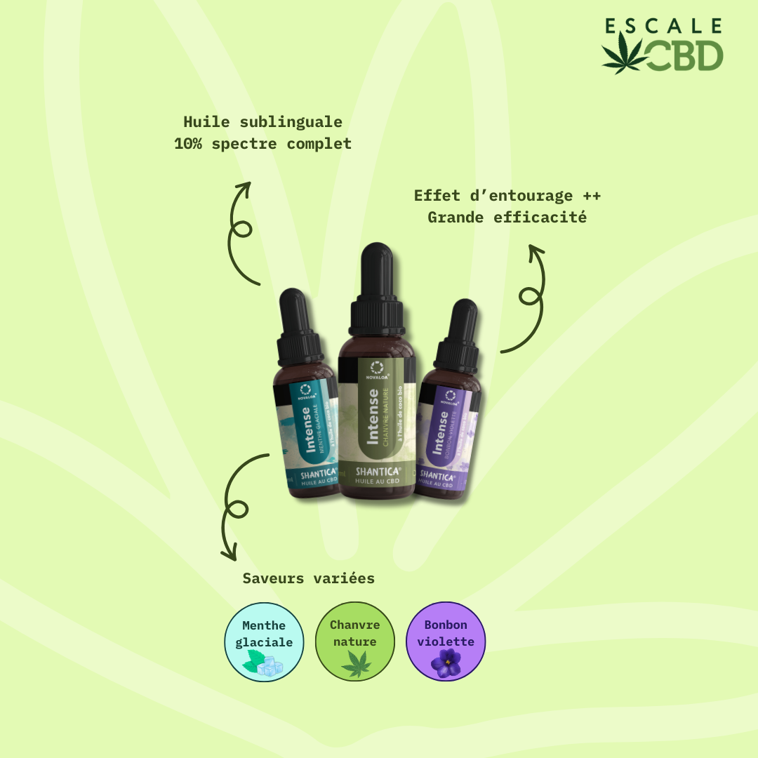 Huile Sublinguale CBD "Intense" Spectre Complet 10%