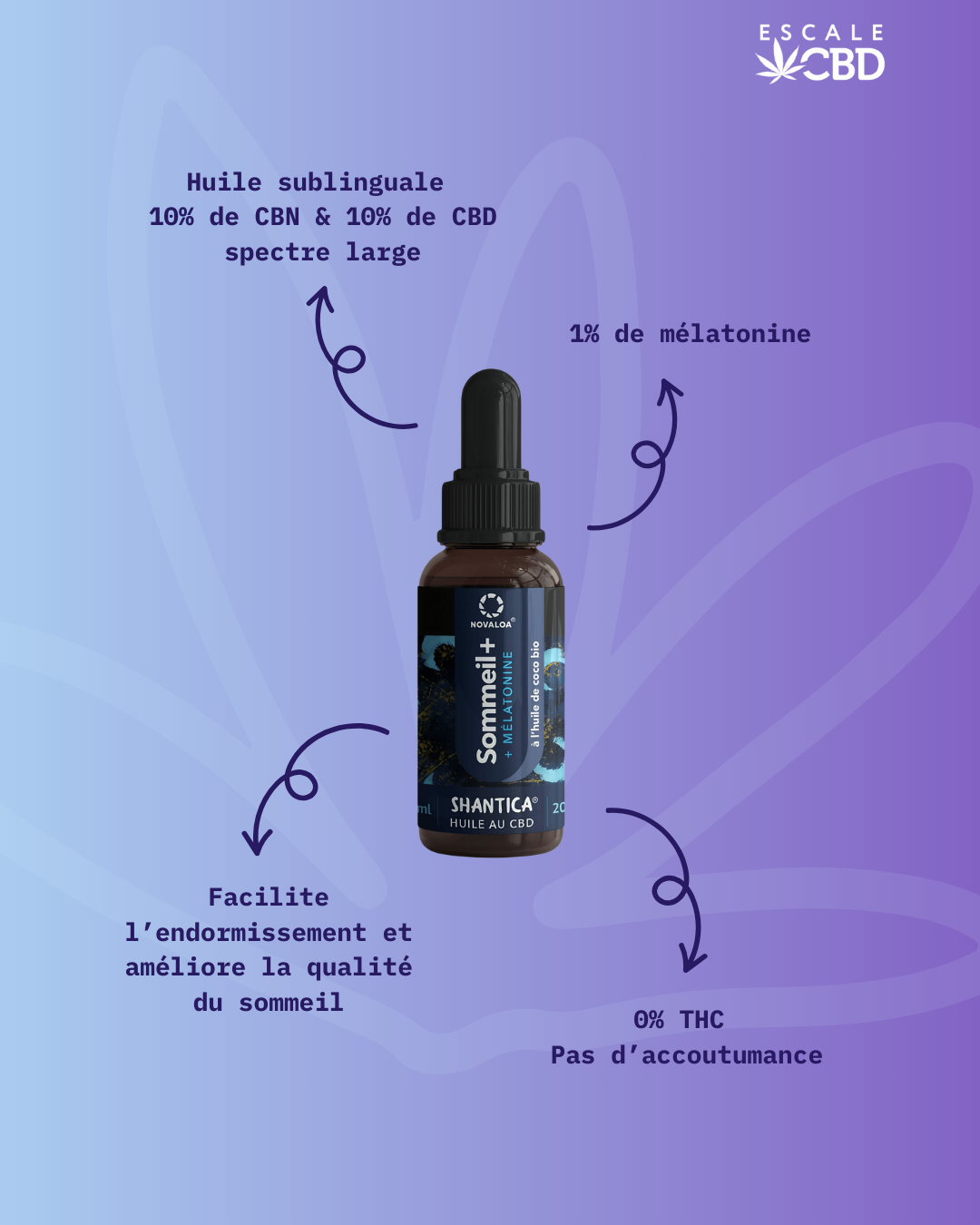 Huile Sublinguale 10% CBD 10%CBN "Sommeil+" 20%