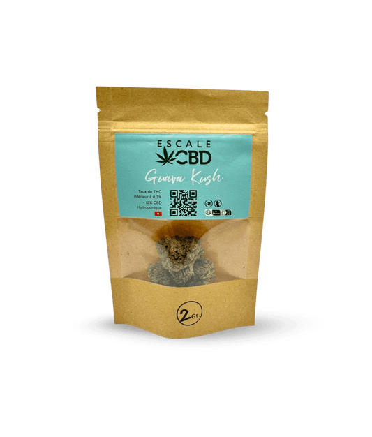 Fleurs de CBD Guava Kush 12%CBD