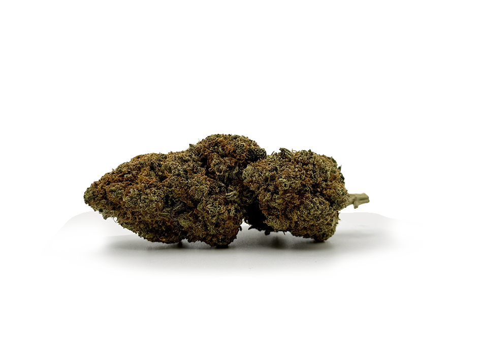 Fleurs de CBD Chocolope 17%CBD