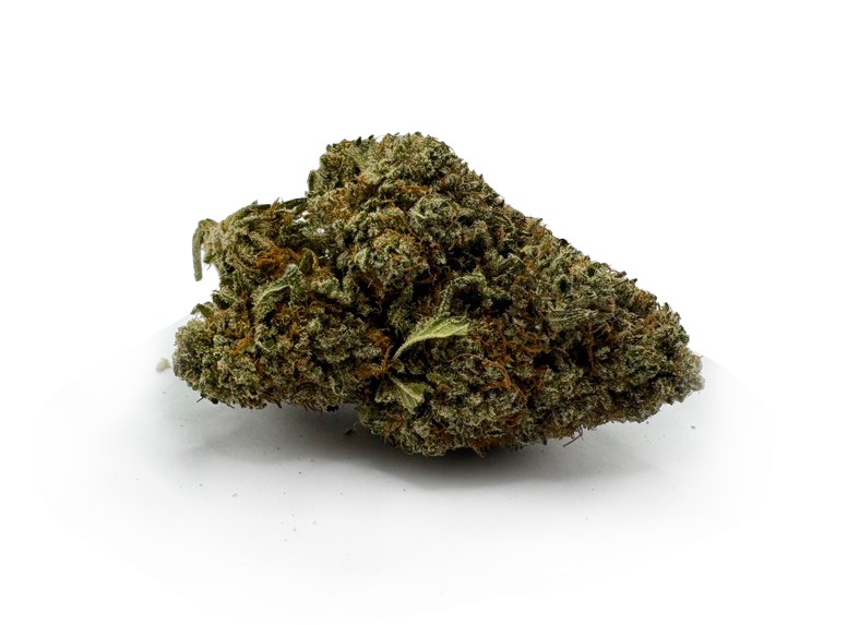 Fleurs de CBD Guava Kush 12%CBD