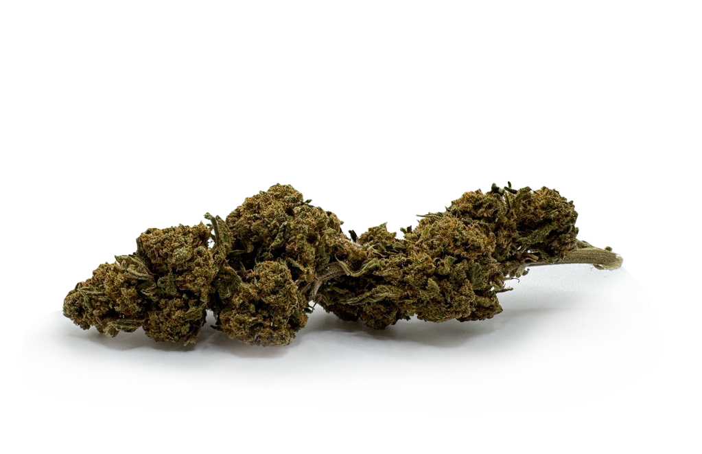 Fleurs de CBD Tangie 7% CBD