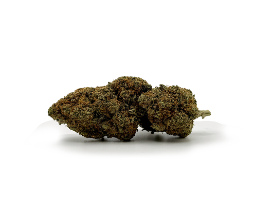 Fleurs de CBD Chocolope 17%CBD