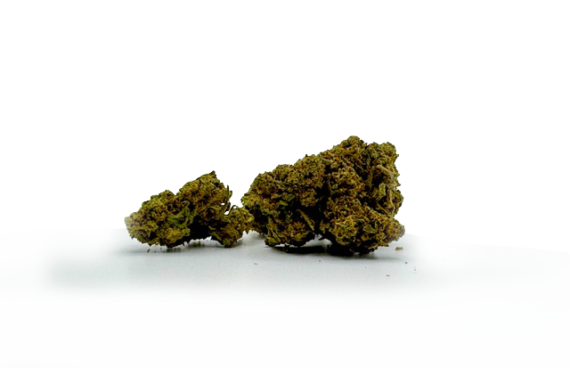 Fleurs de CBD Trump Skunk