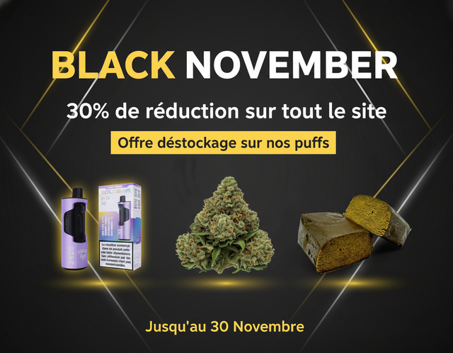 Black November Newsletter